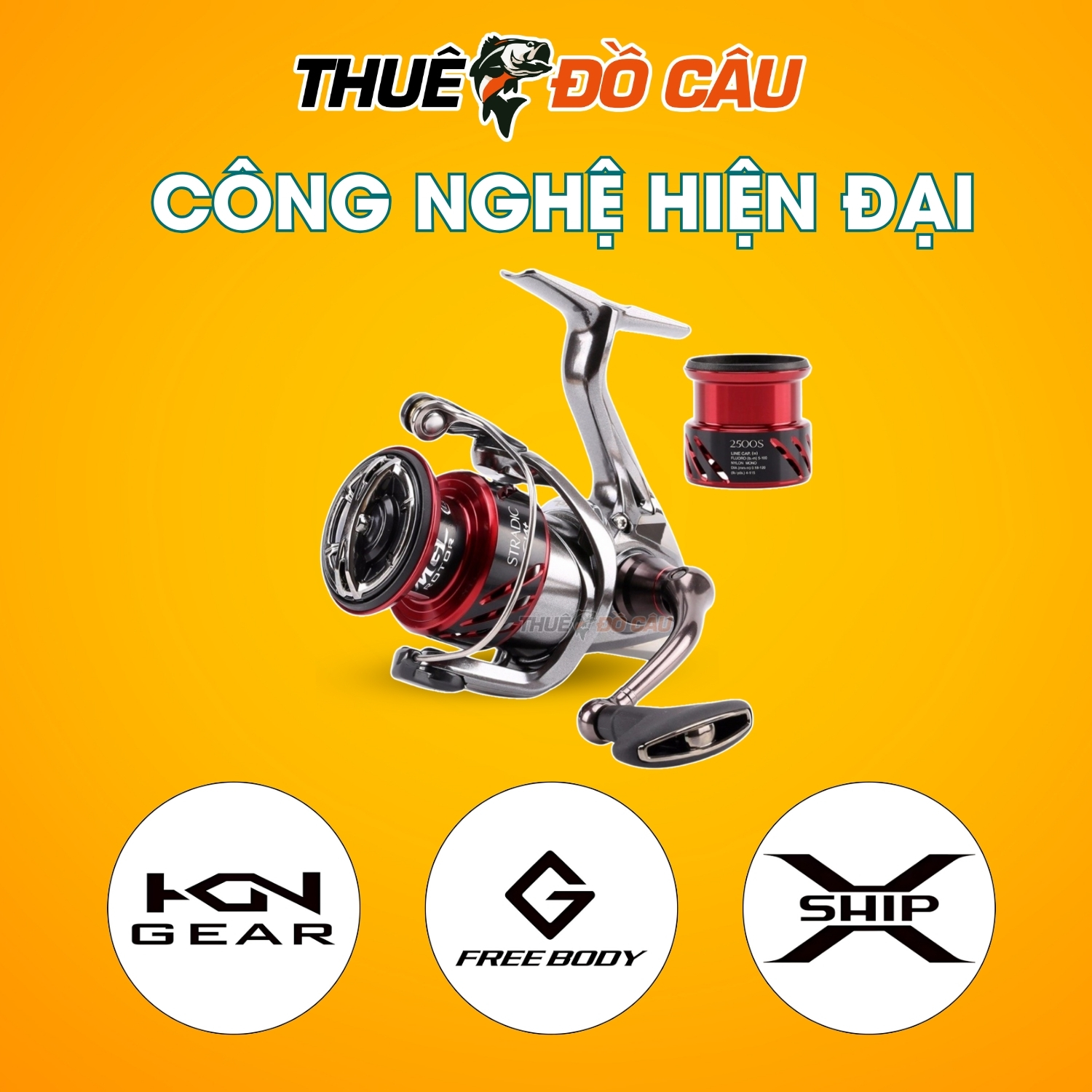 Công nghệ máy câu đứng Shimano Stradic CI4+