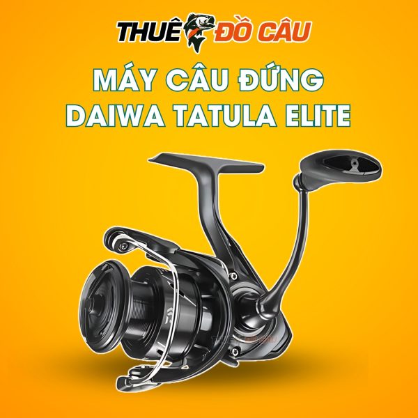 Máy câu Daiwa Tatula Elite