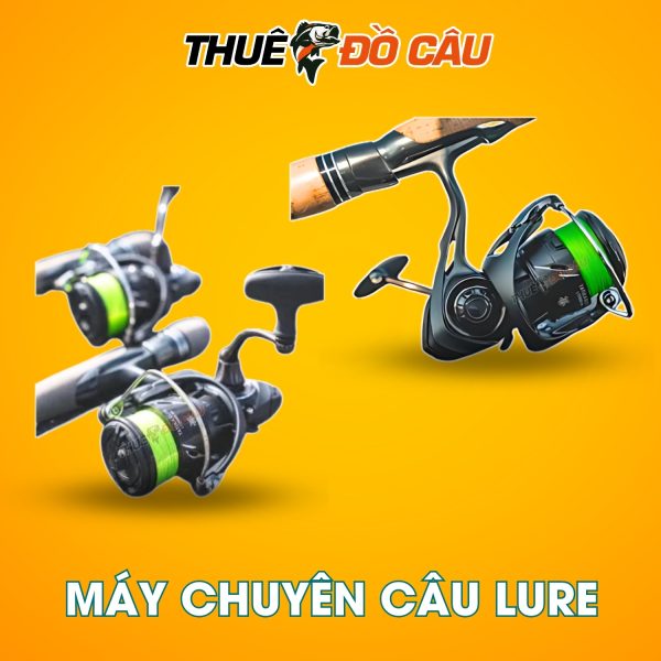 Máy câu đứng Daiwa Tatula Elite chuyên câu lure