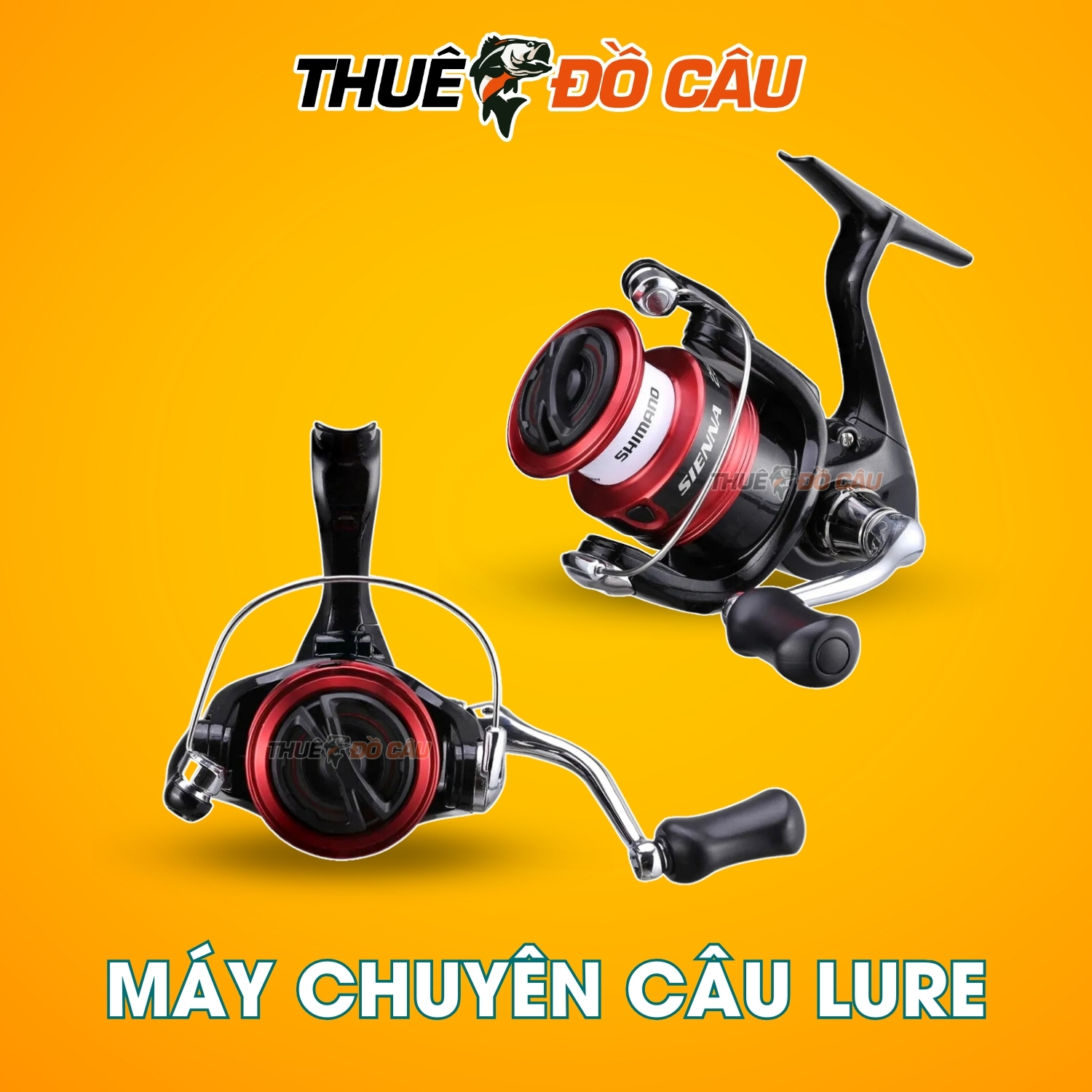 Máy câu đứng Shimano Sienna FG chuyên câu lure