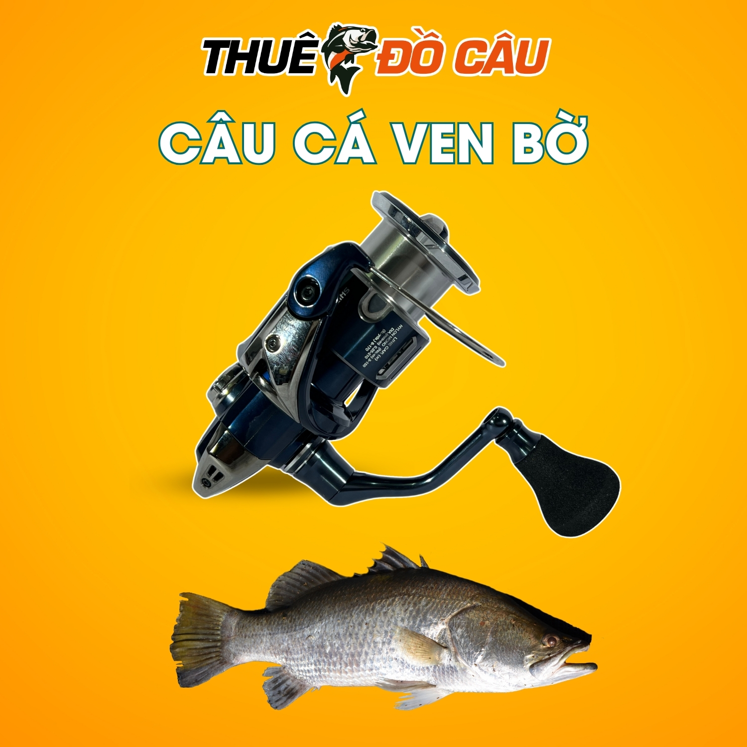 Máy câu đứng Shimano Twin Power XD câu cá ven bờ