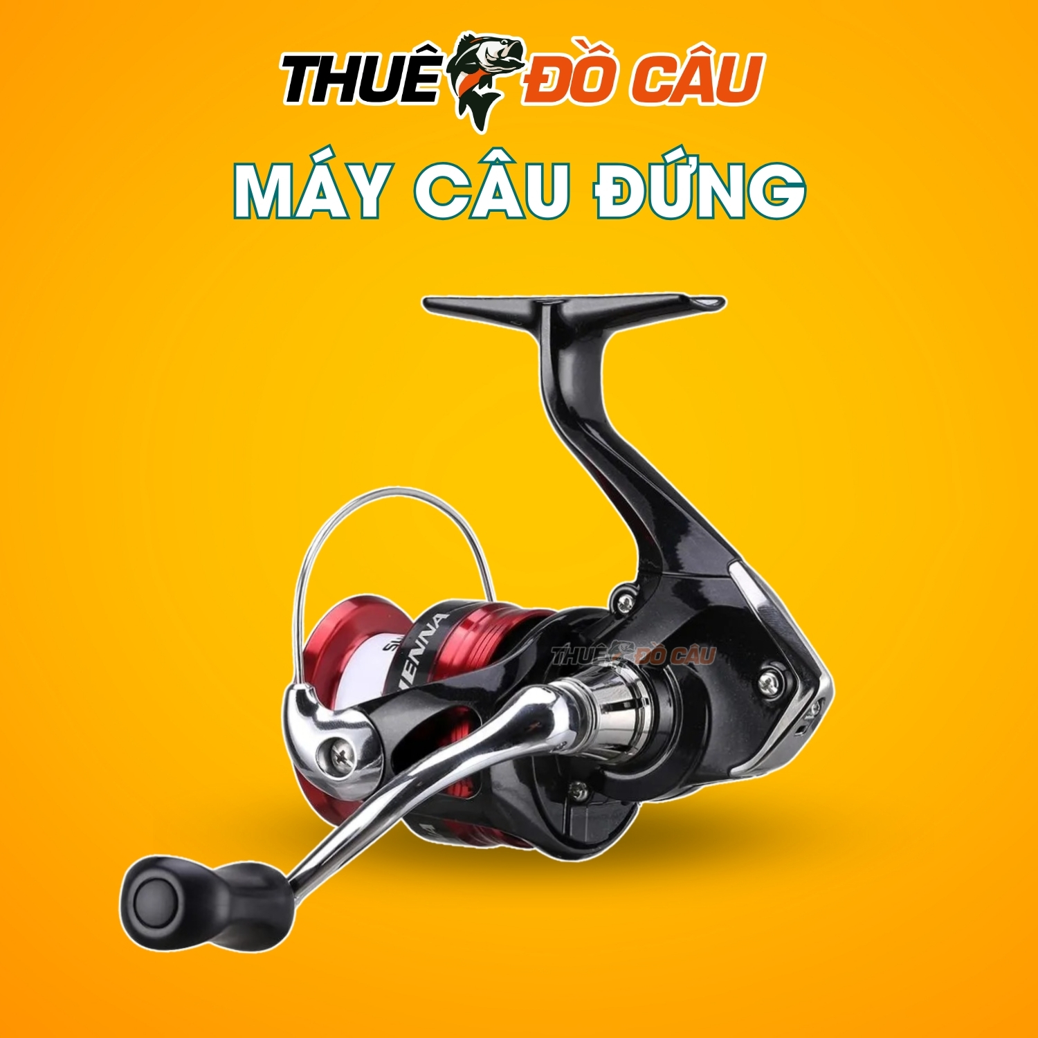 Máy câu Shimano Sienna FG