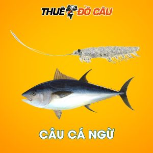 Daiwa Mồi Mềm Dùng Câu Cá Ngừ