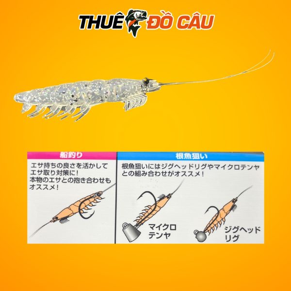 Daiwa Mồi Tôm Mềm Hướng Dẫn Móc Câu