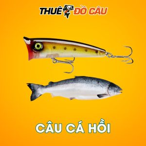 Mồi Giả Câu Cá POP Seaknight blade Series Câu Cá Hồi