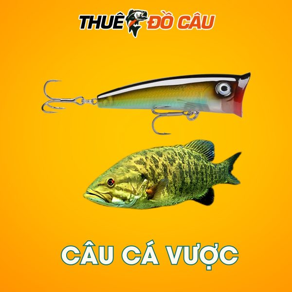 Mồi Giả Câu Cá POP Seaknight blade Series Câu Cá Vược